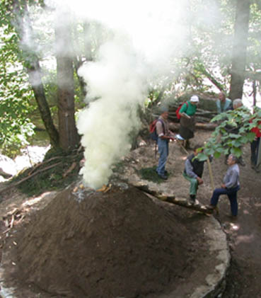  Image name: 11 Carbonai.jpg 
 width: 369 pixel 
 height: 421 pixel 
 Size: 34768 bytes 
 Click to enlarge 